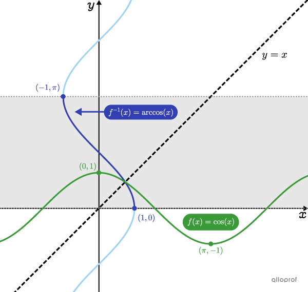 La courbe obtenue par réflexion de la fonction cosinus avec la droite y = x