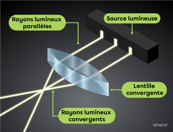 Les rayons parallèles traversent une lentille biconvexe, puis sont déviés de façon convergente.