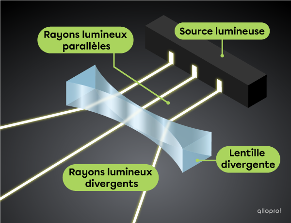 Les rayons parallèles traversent une lentille biconcave, puis sont déviés de façon divergente.