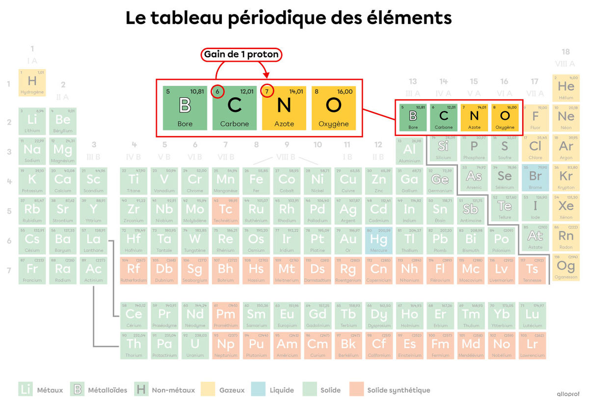 La désintégration du noyau de carbone (C) en noyau d’azote (N) par rayonnement  𝛽