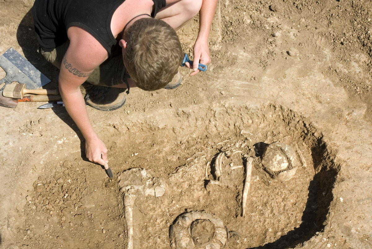 An archaeologist excavates a buried skeleton.