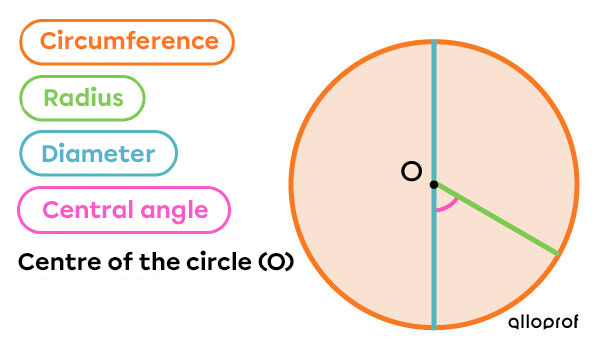 The Parts of a Circle