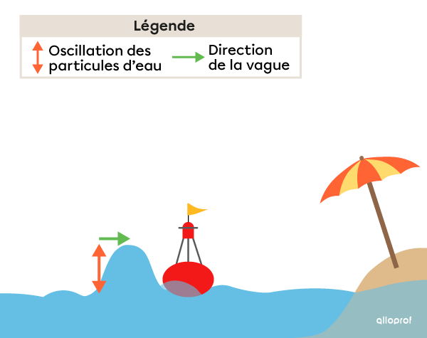 Oscillation verticale des particules d’eau lors du déplacement horizontal d’une vague.