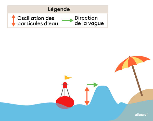 Progression de la vague vers la côte. La bouée retrouve sa position initiale.