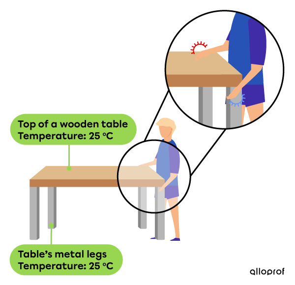 The wood top of the table and the table’s metal legs are at 25 ℃. However, when touching them, they feel different.