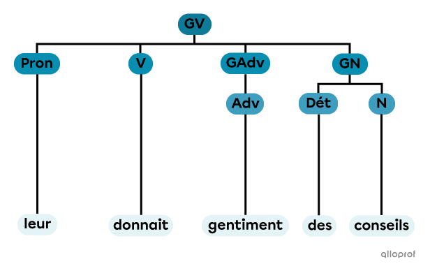 Un groupe verbal constitué d’un pronom, d’un verbe, d’un groupe adverbial et d’un groupe nominal