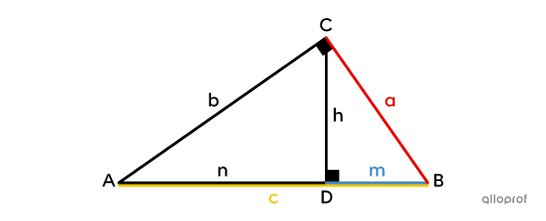 The segments used for the first formula of the Proportional Mean theorem.