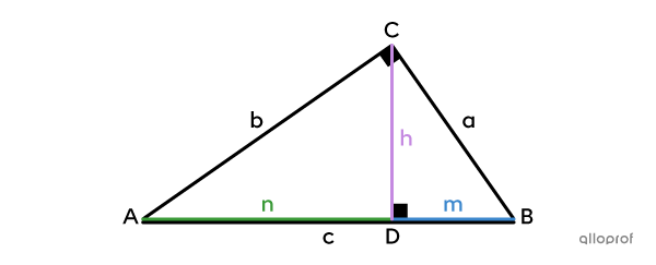 The segments used for the formula of the Altitude to Hypotenuse theorem.