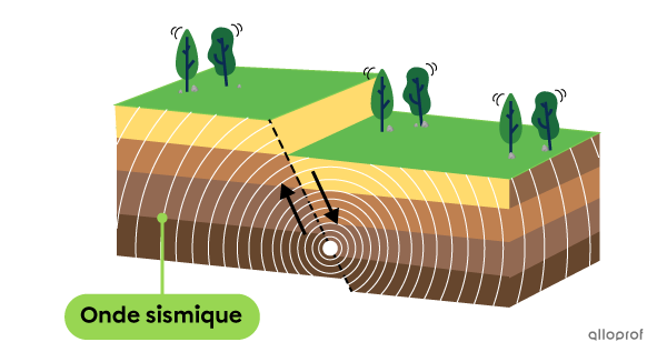 Propagation d’ondes sismiques lors d’un séisme