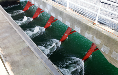 The tidal turbines are in the water and are spinning.