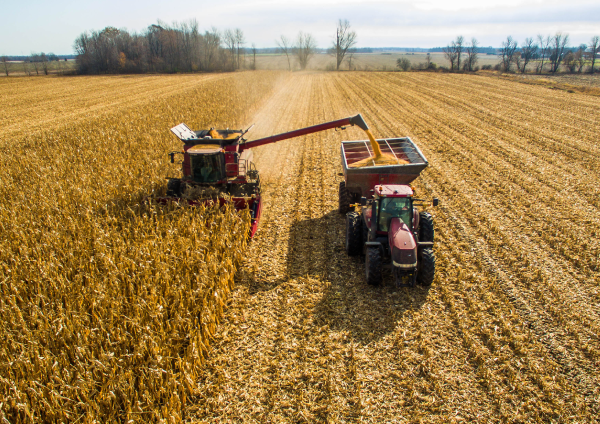 Aerial view of a tractor harvesting corn.