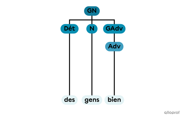 Un groupe nominal constitué d’un déterminant, d’un nom et d’un groupe adverbial.