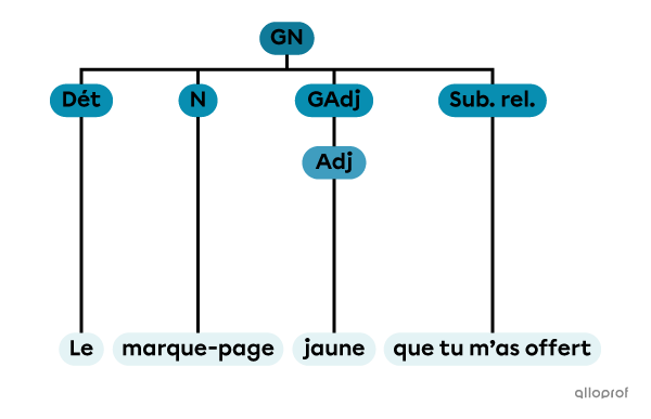 Un groupe nominal constitué d’un déterminant, d’un nom, d’un groupe adjectival et d’une subordonnée relative.