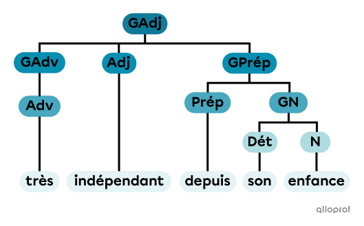 Un groupe adjectival composé d’un groupe adverbial, d’un adjectif et d’un groupe prépositionnel.