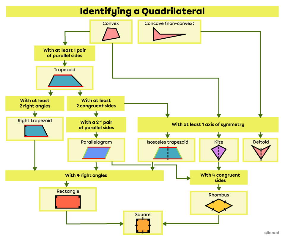 The different classes of quadrilaterals according to their properties.