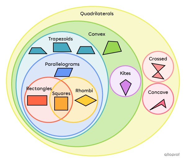 The relationships between classes of quadrilaterals.