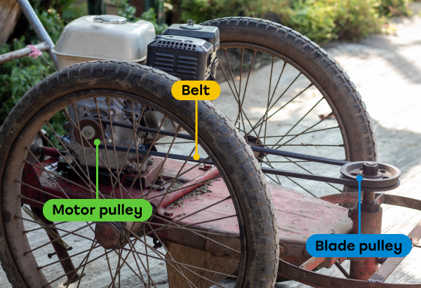 The rotation of the vertical pulley is transmitted to the horizontal pulley in this belt and pulley mechanism.