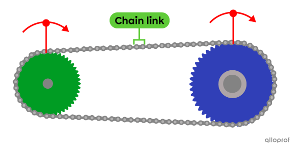 The rotation of the first sprocket drives the motion of the chain (intermediate component), enabling the rotation of the second sprocket. 