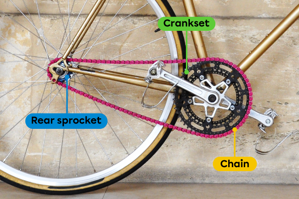 A bicycle uses a chain and sprocket system to drive the bicycle’s movement.