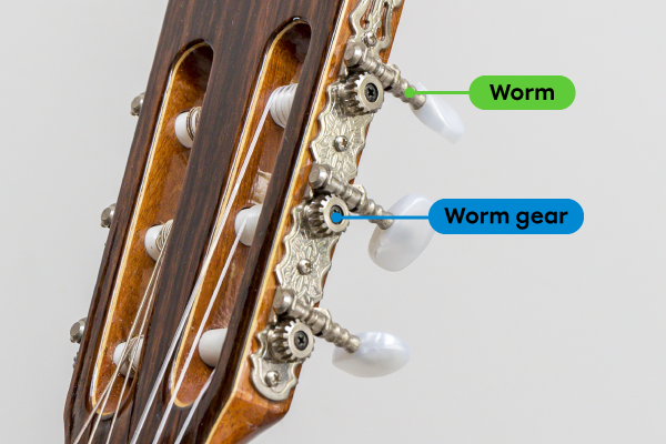 The tuning pegs use a worm and worm gear system to tighten or loosen the strings.