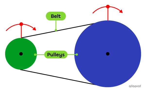 The rotational motion of the driver pulley drives the motion of the belt. The belt rotates the driven pulley.