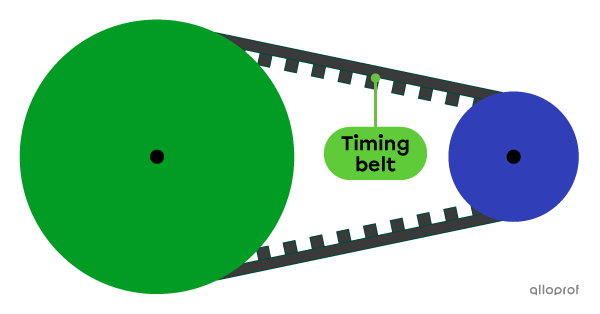 The teeth (or notches) on the belt in a belt and pulley system decrease the risk of the belt slipping off the pulleys.