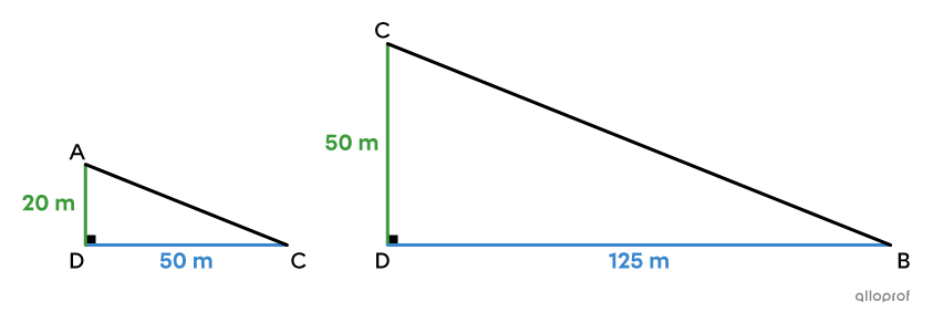 Triangle ADC is similar to triangle CDB, because they meet the minimum condition SAS.