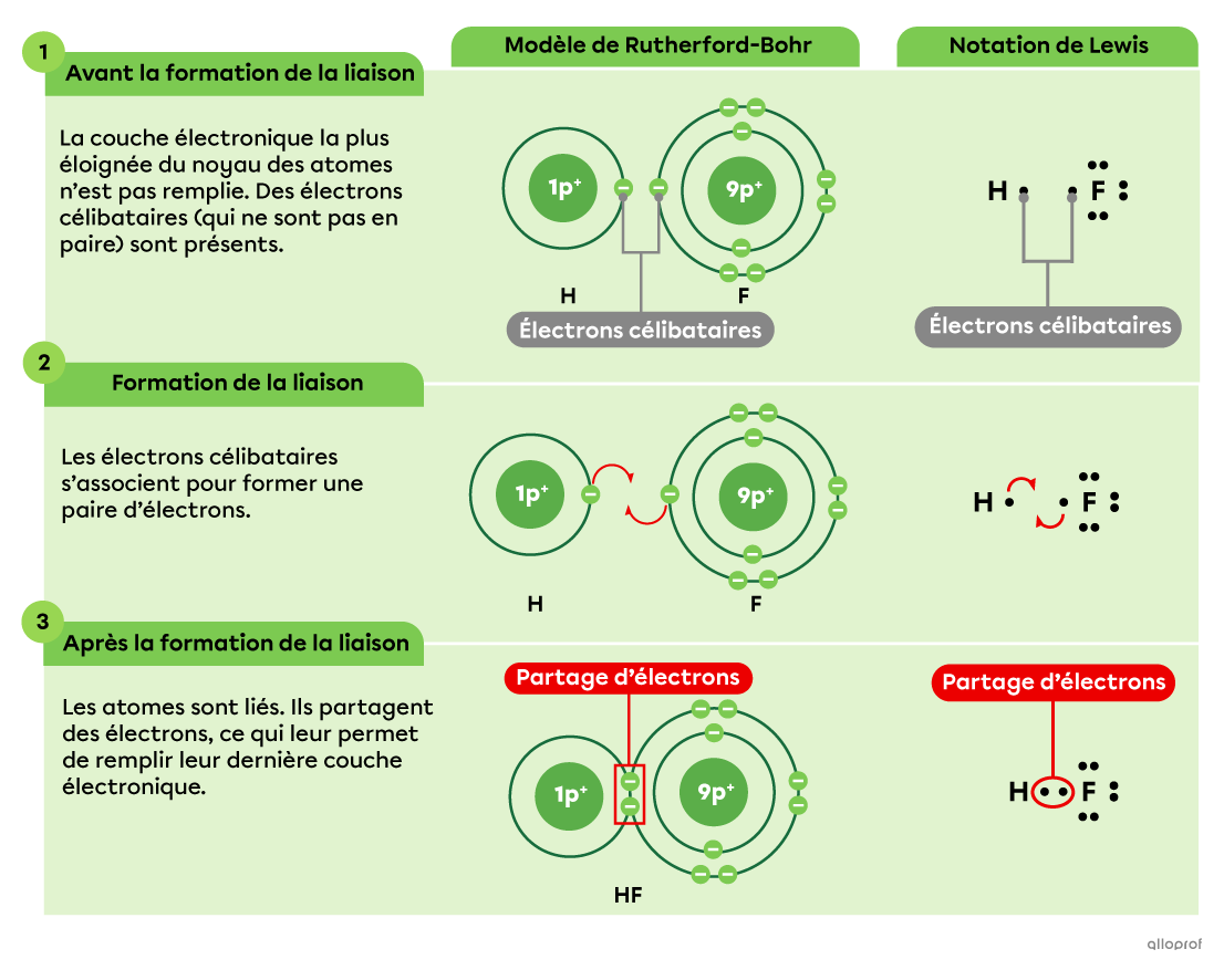 La liaison covalente entre un atome d’hydrogène et un atome de fluor selon le modèle de Rutherford-Bohr et selon la notation de Lewis.