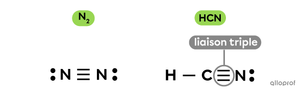 Des molécules effectuant une liaison triple.