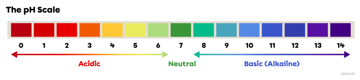 vertical ph scale