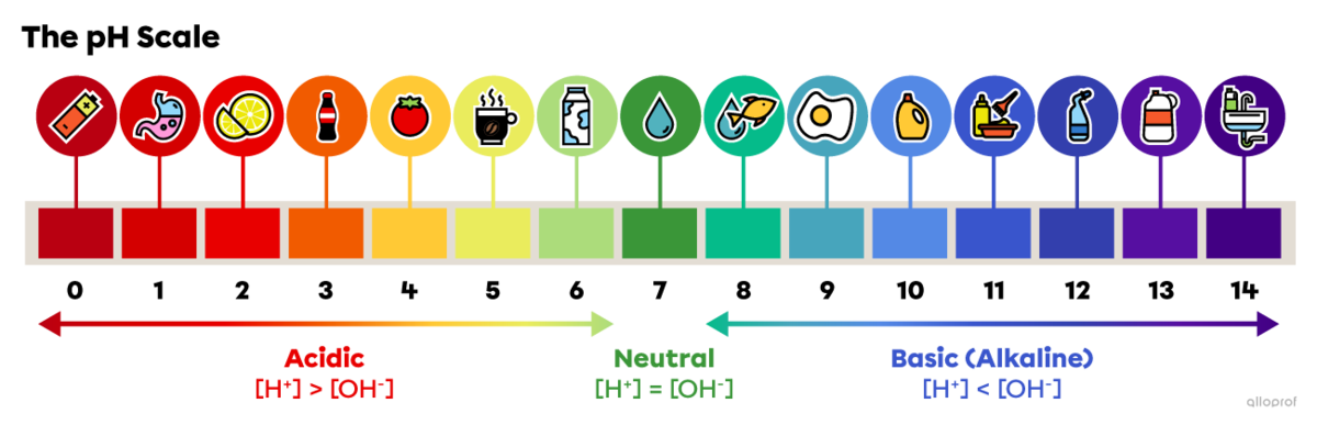 The substances and their pH values are: battery acid pH 0, stomach acid pH 1, lemon juice pH 2, soft drink pH 3, tomato juice pH 4, coffee pH 5, milk pH 6, pure water pH 7, seawater pH 8, egg white pH 9, laundry detergent pH 10, hair styling product for permanent straightening pH 11, toilet cleaner pH 12, bleach pH 13, and drain cleaner pH 14.