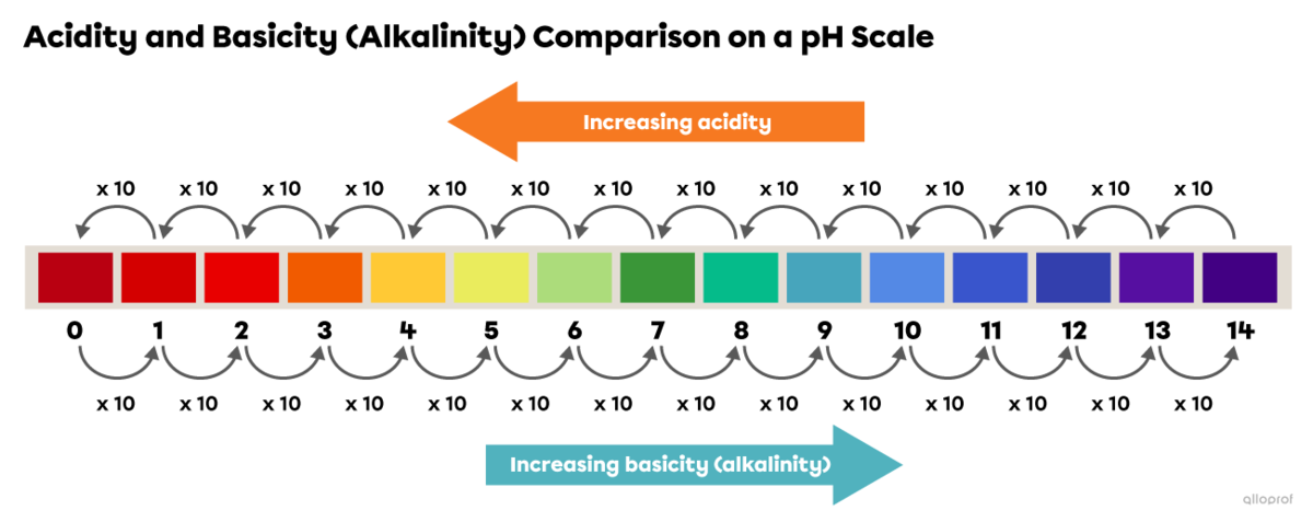 On the pH scale, a decrease of one unit means that the acidity is increased by a factor of 10, while an increase of one unit means that the basicity (alkalinity) is increased by a factor of 10.