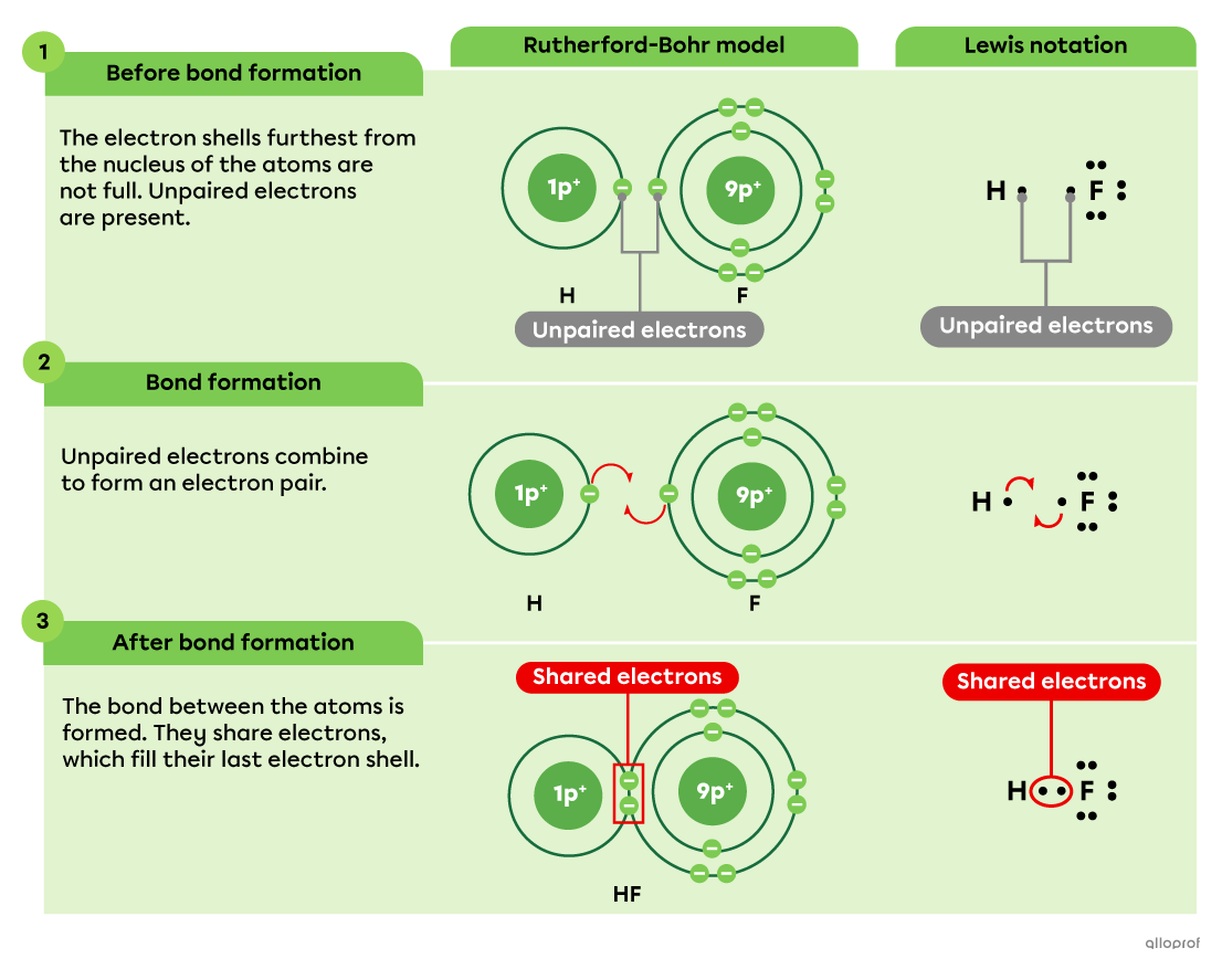 The covalent bond between the hydrogen atom and the fluorine atom is represented using the Rutherford-Bohr model and Lewis notation.