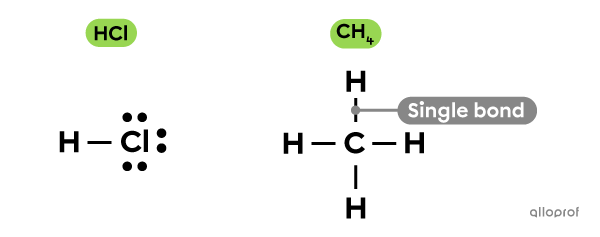 Molecules with one or several single bonds.