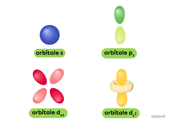 Selon le modèle quantique de l’atome, un électron se déplace dans des zones de probabilité appelées orbitales.