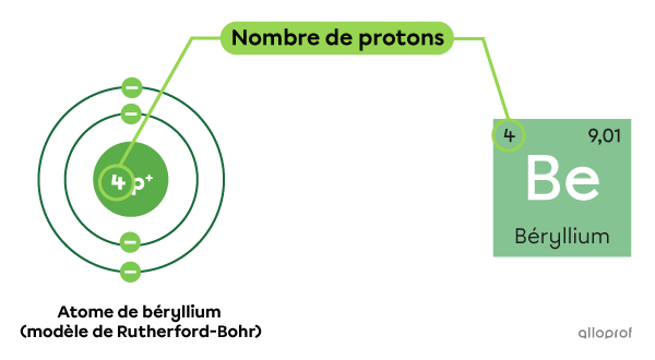 Un atome de béryllium comprend 4 protons, comme il est indiqué dans le tableau périodique des éléments.