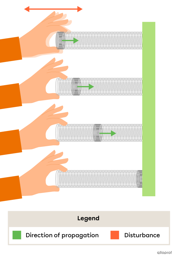 Propagation of a longitudinal wave in a spring.