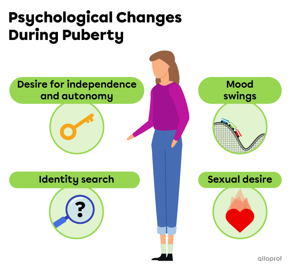 The desire for independence and autonomy, the search for identity, mood swings and sexual desire are psychological changes that occur during puberty.