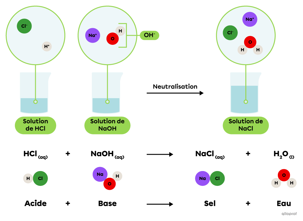 L’équation chimique de la neutralisation de l’acide chlorhydrique par l’hydroxyde de sodium.