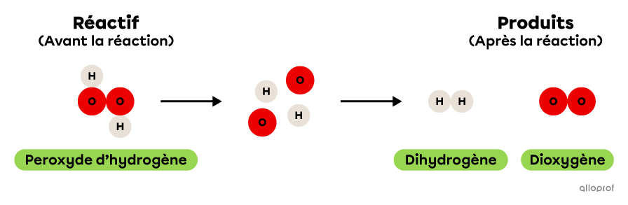 La réaction de décomposition du peroxyde d’hydrogène selon le modèle particulaire.