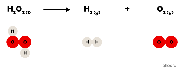 The chemical equation of the hydrogen peroxide decomposition reaction.