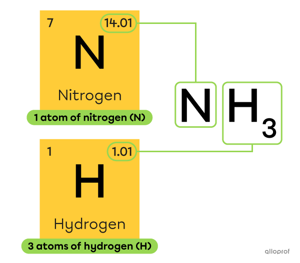 An NH3 molecule is made up of one nitrogen atom with a molar mass of 14.01 grams per mole and 3 hydrogen atoms with a molar mass of 1.01 grams per mole each.