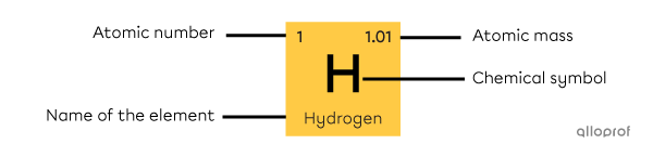 A square in the periodic table contains the element's atomic number, name, chemical symbol and atomic mass.