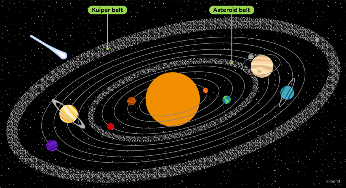 The asteroid belt, located between the orbits of Mars and Jupiter, and the Kuiper belt, located beyond the orbit of Neptune.