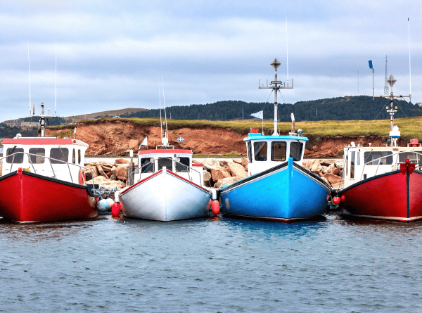 Photographie de bateaux dans le port de Havre Aubert.