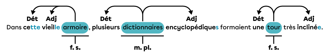 Le déterminant « ce » et l’adjectif « vieil » doivent être accordés au féminin et au singulier. L’adjectif « encyclopédique » doit être accordé au masculin et au pluriel. L’adjectif participe « incliné » doit être accordé au féminin et au singulier.