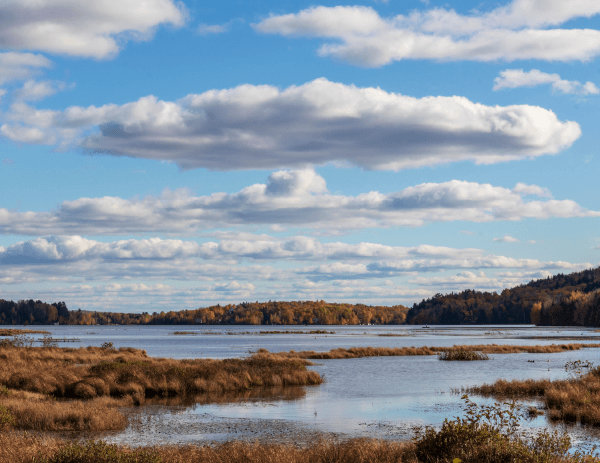 Clouds formed over a marsh.