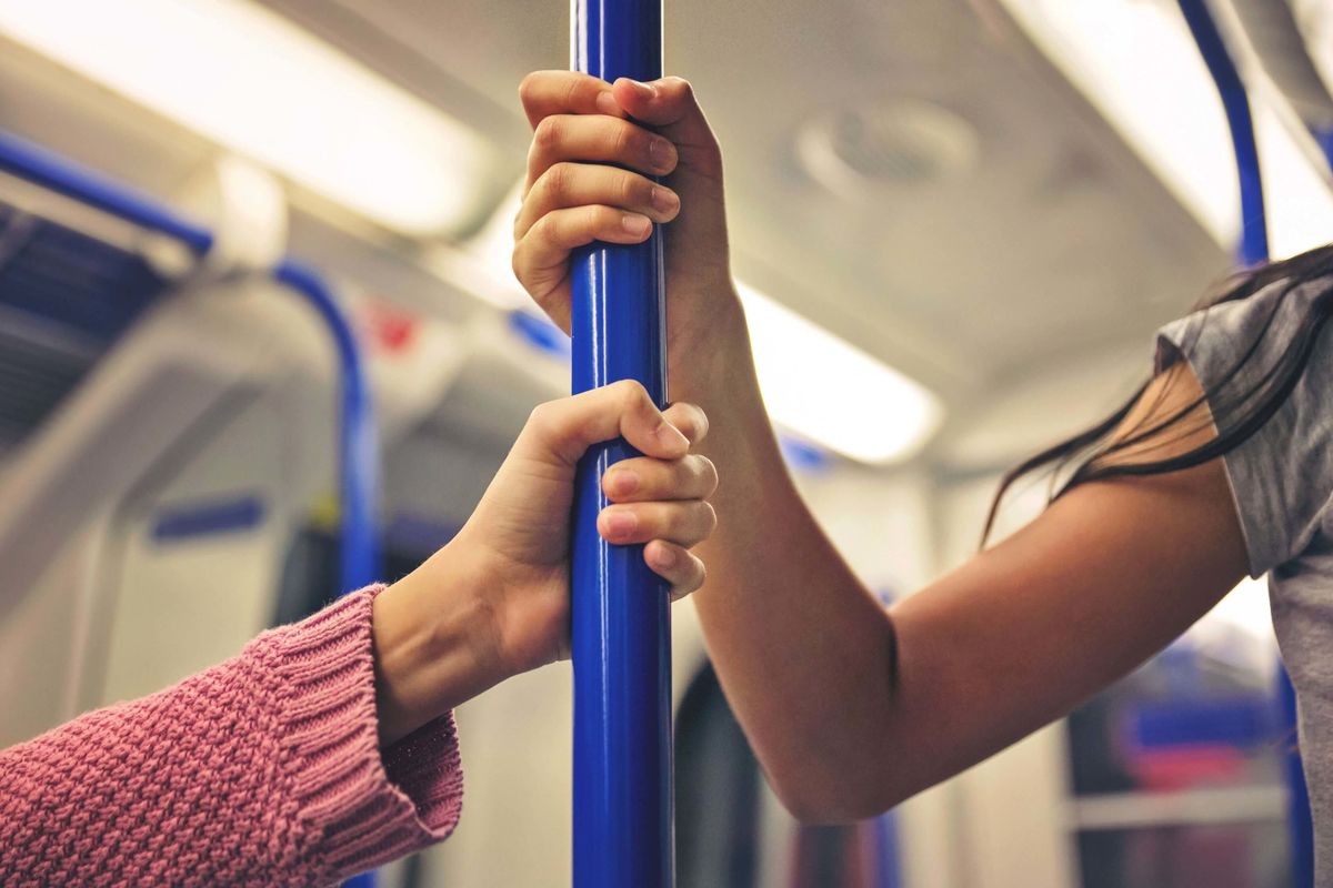 Un an d'éducation à l'environnement.