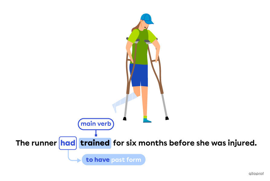 Usage of auxiliary verbs.