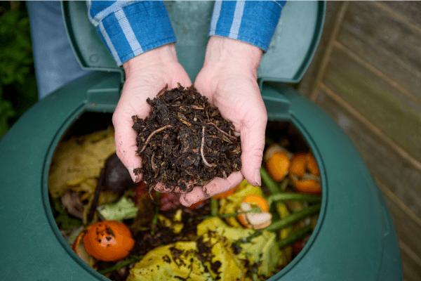 Une photographie d’un individu tenant du compost dans ses mains. 